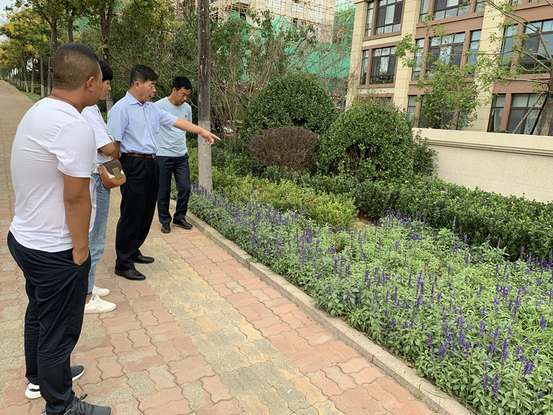 20.园林公司赴威５鞑橐计纺仙较钅.jpg