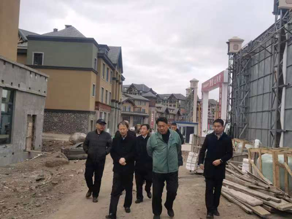 25.马秉臣副董事长带队领导江山府项目工作_副本.jpg