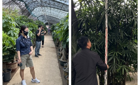12.园林公司对绿植市场进行调查和调研_副本.jpg