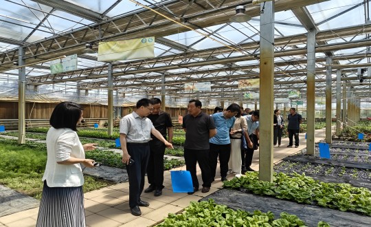 2024年6月27日，中国绿色食品发展中心有关辅导莅临农业总公司调查调研_副本.jpg